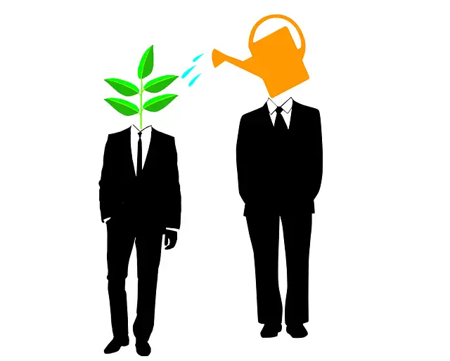 Koučink nebo mentoring?