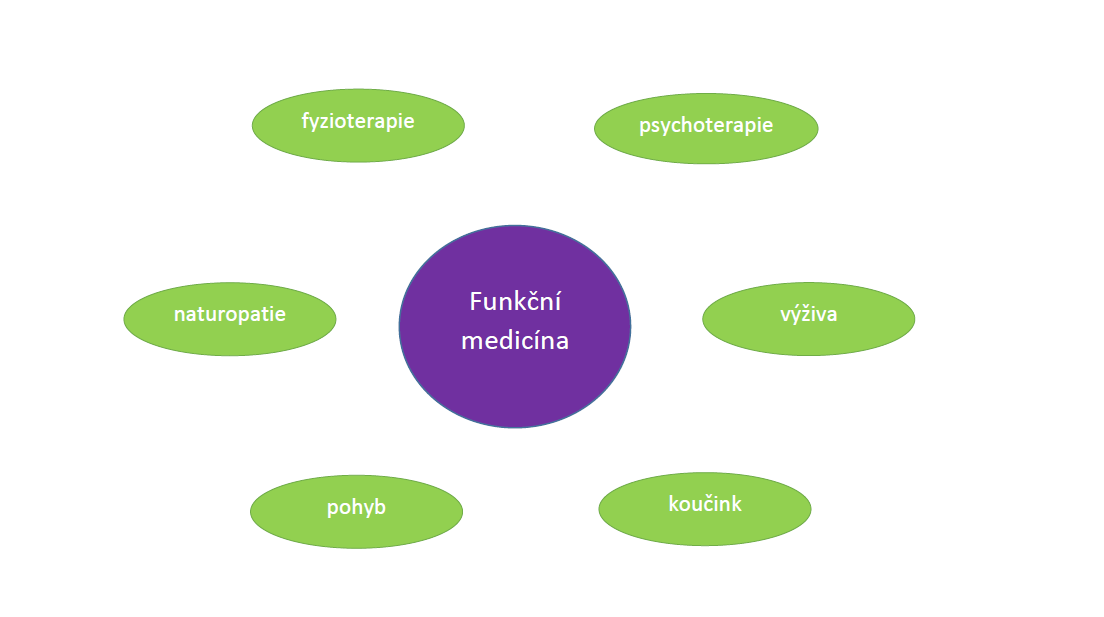 schéma fční med.obrázek
